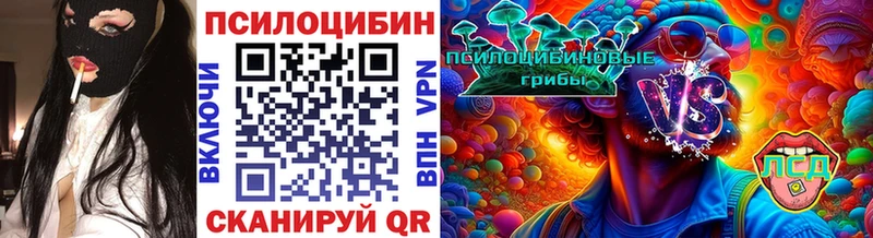 Псилоцибиновые грибы GOLDEN TEACHER Купить где Кандалакша